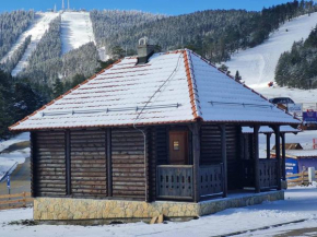 Kuca za odmor TORNIK Zlatibor